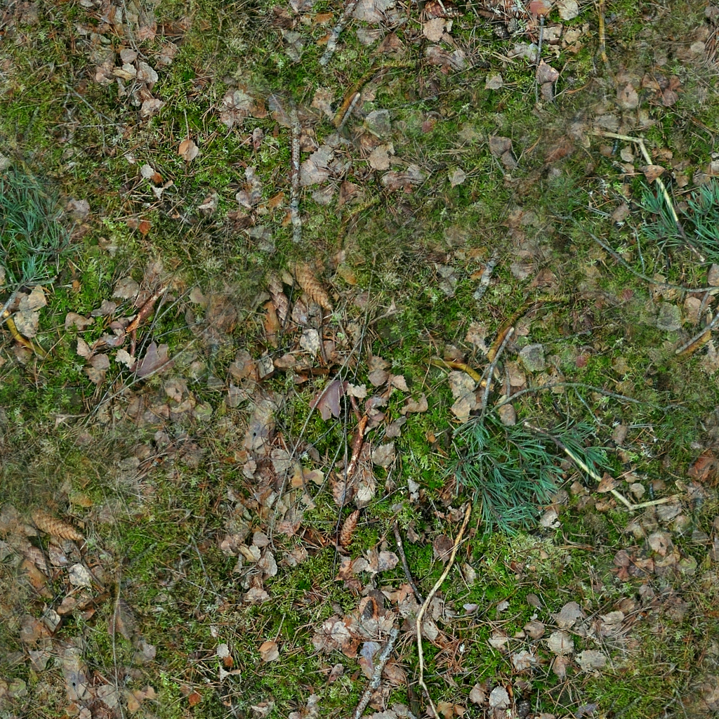 Forest Ground Textures Forest 9 Png OpenGameArt Org